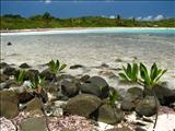 Playa La Plata - VIEQUES
